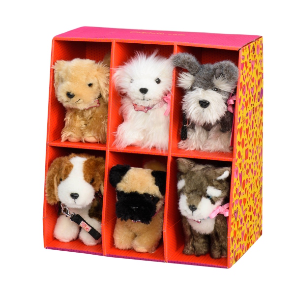 our generation schnauzer