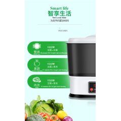 GTE 10L Household Fruit And Vegetable Big Capacity Disinfection Machine