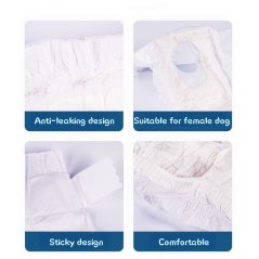 Gdeal Female Pets Dog Diapers Aunt Pants Strong Diapers 10pcs - 3 Sizes