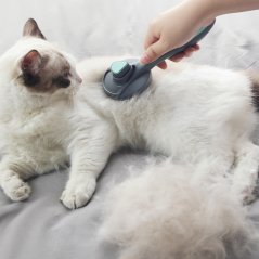 Gdeal One Click Hair Removal Massage Cat Comb Pet Hair Removal Cleaner (3 Colors)
