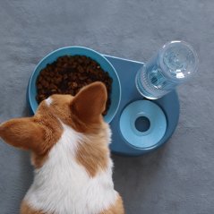 GTE Cat Double Bowl Automatic Drinking Dog Water Bowl Dual Use Pet Food Feeder