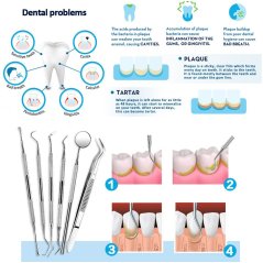 Gdeal 6pcs Professional Handle Stainless Steel Medical Dentist Teeth Explorer Needle Cleaning Dental Tool Kit Set