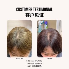 JS Pearl Ginseng Permenant Hair Dye Shampoo 100% Grey Hair Coverage