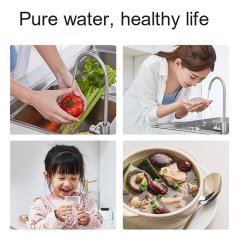 [IX] Xiaomi Mi Home Water Purifier 600G (New 2019) PWY4024CN (White)