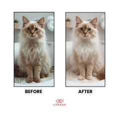 Canaan Aniclean Pet Shampoo Soft Formulation For Kittens and Cat 500ml