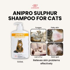 Canaan Anipro Sulphur Cat Shampoo for Dermatitis Issue - 500ml