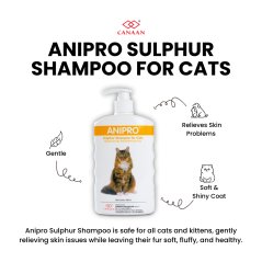 Canaan Anipro Sulphur Cat Shampoo for Dermatitis Issue - 500ml