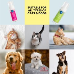 Canaan Pawlene No Rinse Foam Pet Shampoo for Dogs and Cats - 150ml