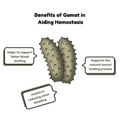 Topplast Gamat Plaster Elastic Strips for Wound-Healing 20's