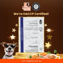 DF Dog food Daily Diet - Beef (1 x 150g)