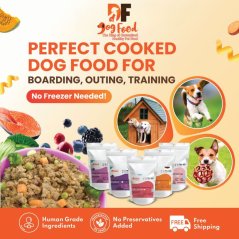 DF Dog food Daily Diet - Beef (1 x 150g)