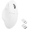 Keychron M7 Wireless Mouse 2.4ghz + Bluetooth 5.1 (White)