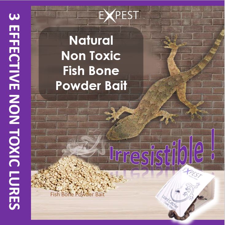Buy Expestasia Lizard Smart Trap [Bundle of 5 packs: 45 Traps] Online