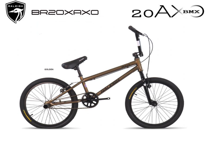 Buy Foresttrekcycle RALEIGH BMX 20 AXO 2020 FREESTYLE Online eRomman
