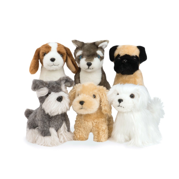 our generation schnauzer