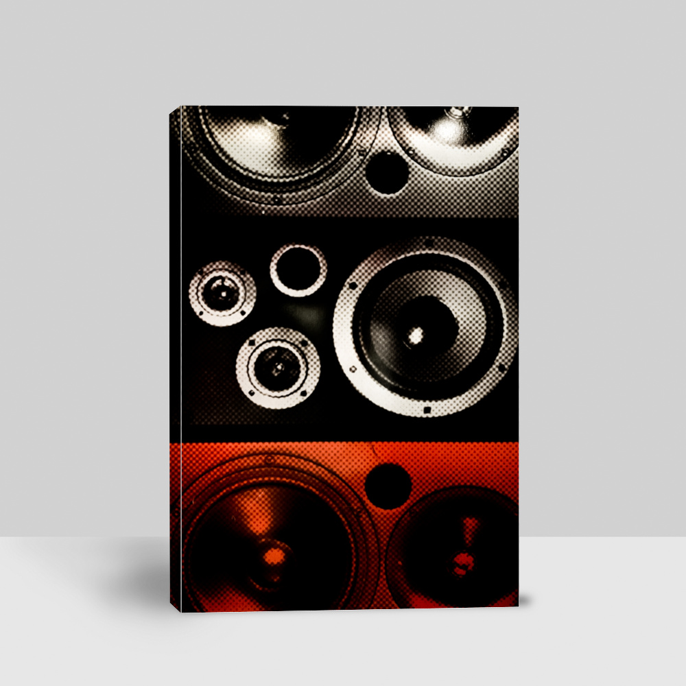 Buy Speaker Art Photo | eRomman