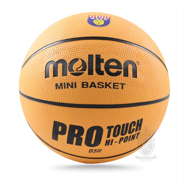 molten basketball size 5