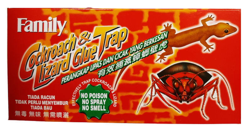 Buy Family Cockroach & Lizard Glue Trap Pest Control