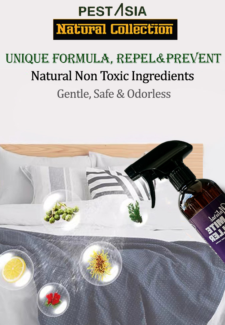 Home & Living Housekeeping Cleaning Cleaning Products PEST
