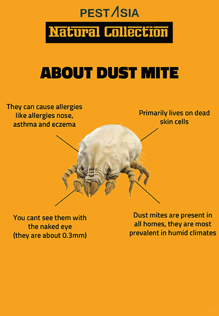 Home & Living Housekeeping Cleaning Cleaning Products PEST