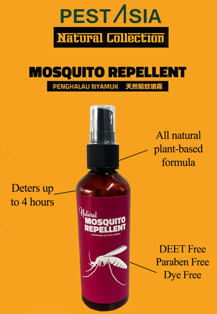 Health & Beauty Beauty Personal Care Personal Hygiene PEST