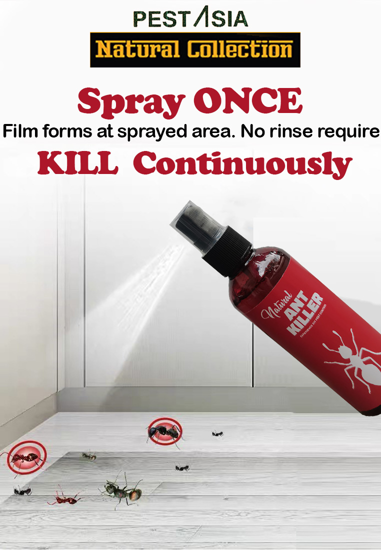 Home & Living Housekeeping Cleaning Cleaning Products PEST