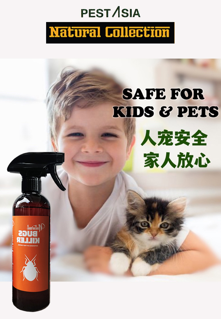 Home & Living Housekeeping Cleaning Cleaning Products PEST ASIA Natural Bed Bug