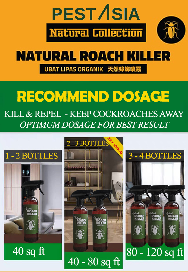 Home & Living Housekeeping Cleaning Cleaning Products PEST