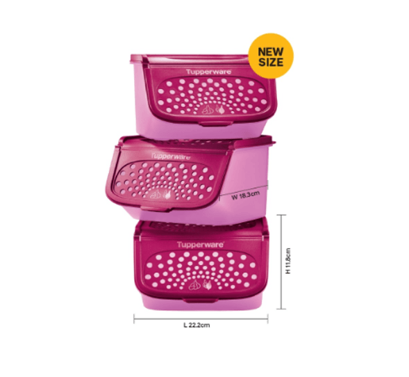 Buy Potato Onion Vegetable Keeper Tupperware Set of 3 eRomman