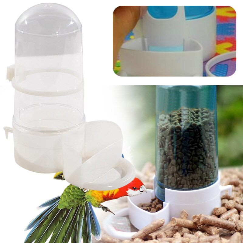 Buy Sweethomeplanet Bird Parrot Hamster Automatic Drinker Feeder