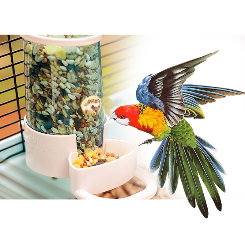 Buy Sweethomeplanet Bird Parrot Hamster Automatic Drinker Feeder