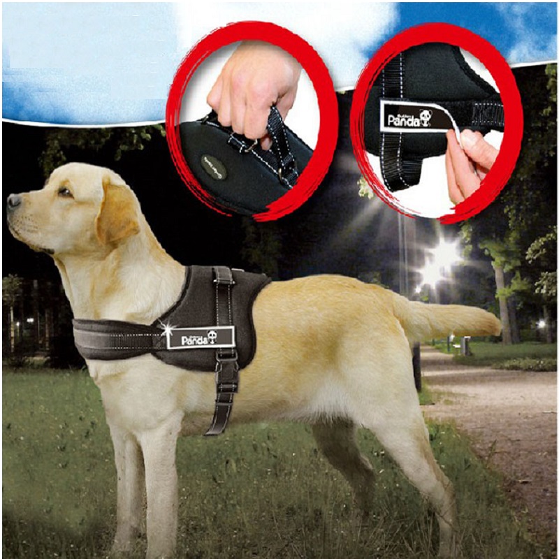 locking dog harness