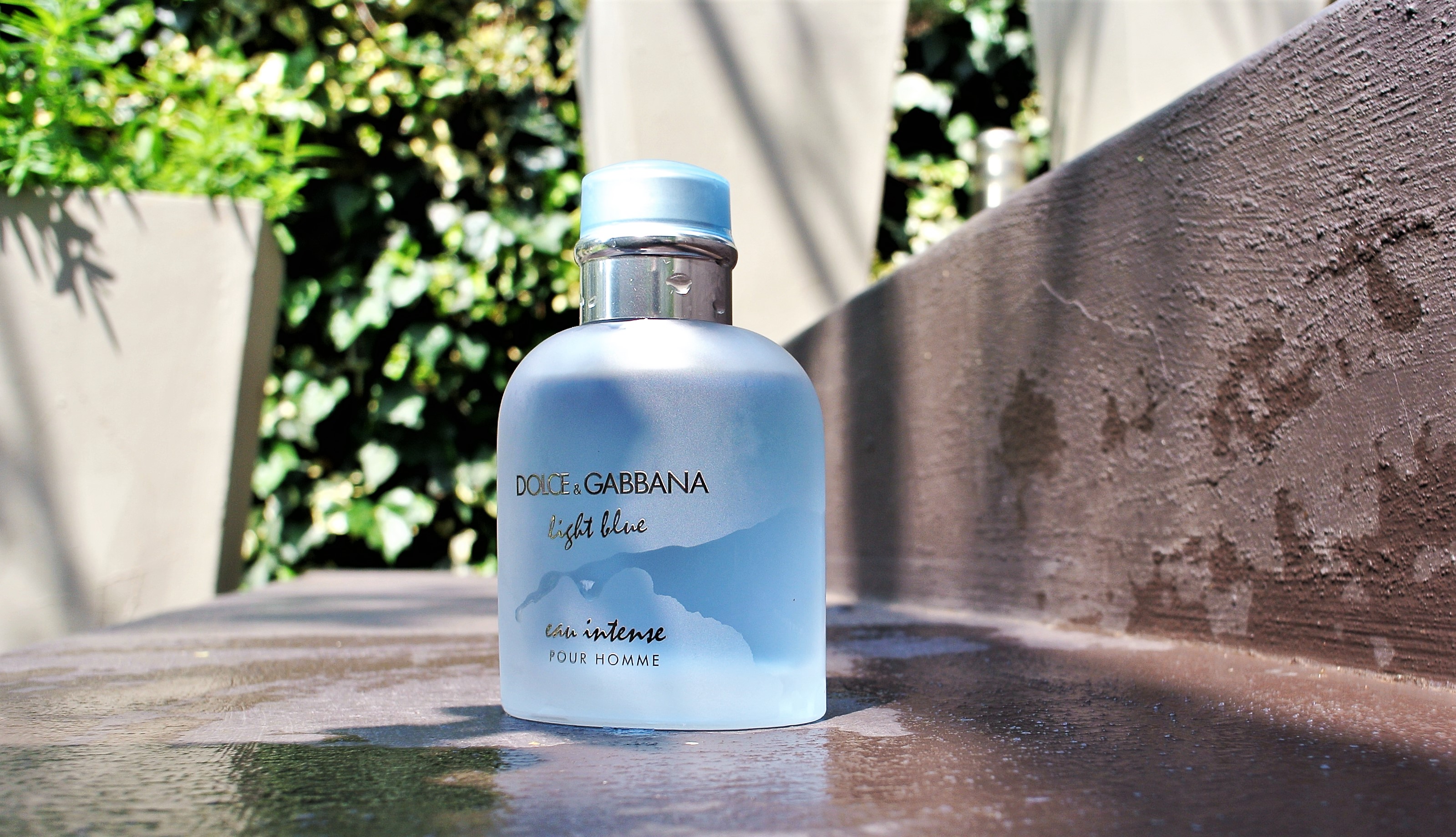 d&g light blue pour homme intense