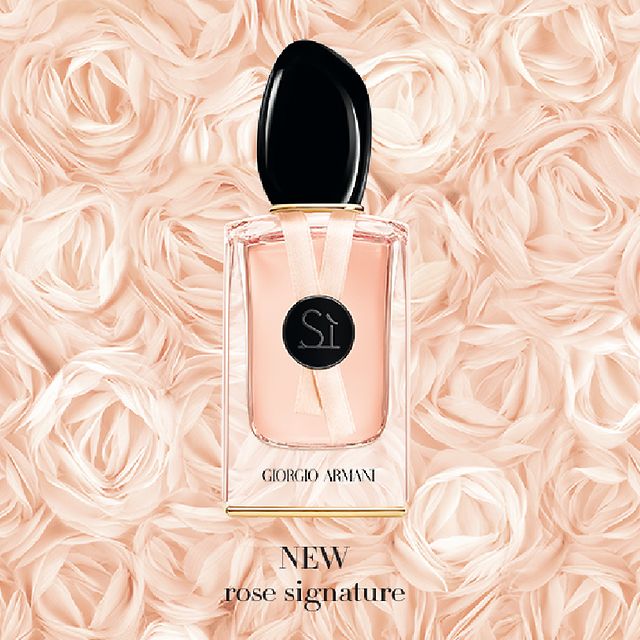 buy \u003e armani si rose perfume \u003e Up to 66 