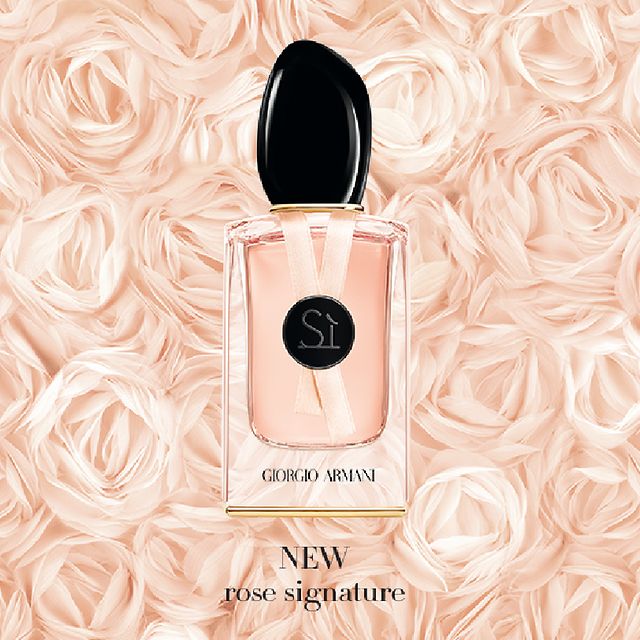 armani si rose perfume