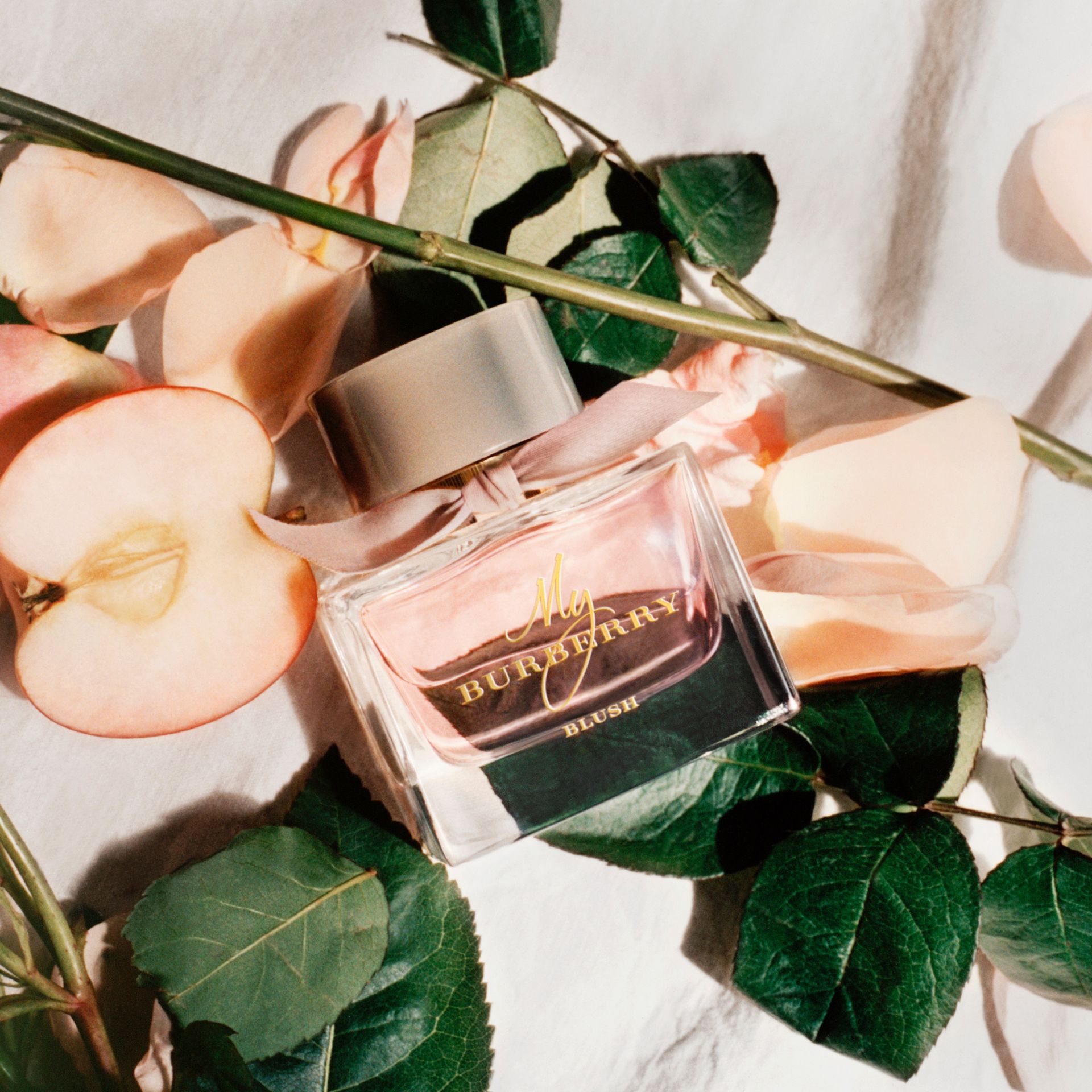 my burberry blush parfum