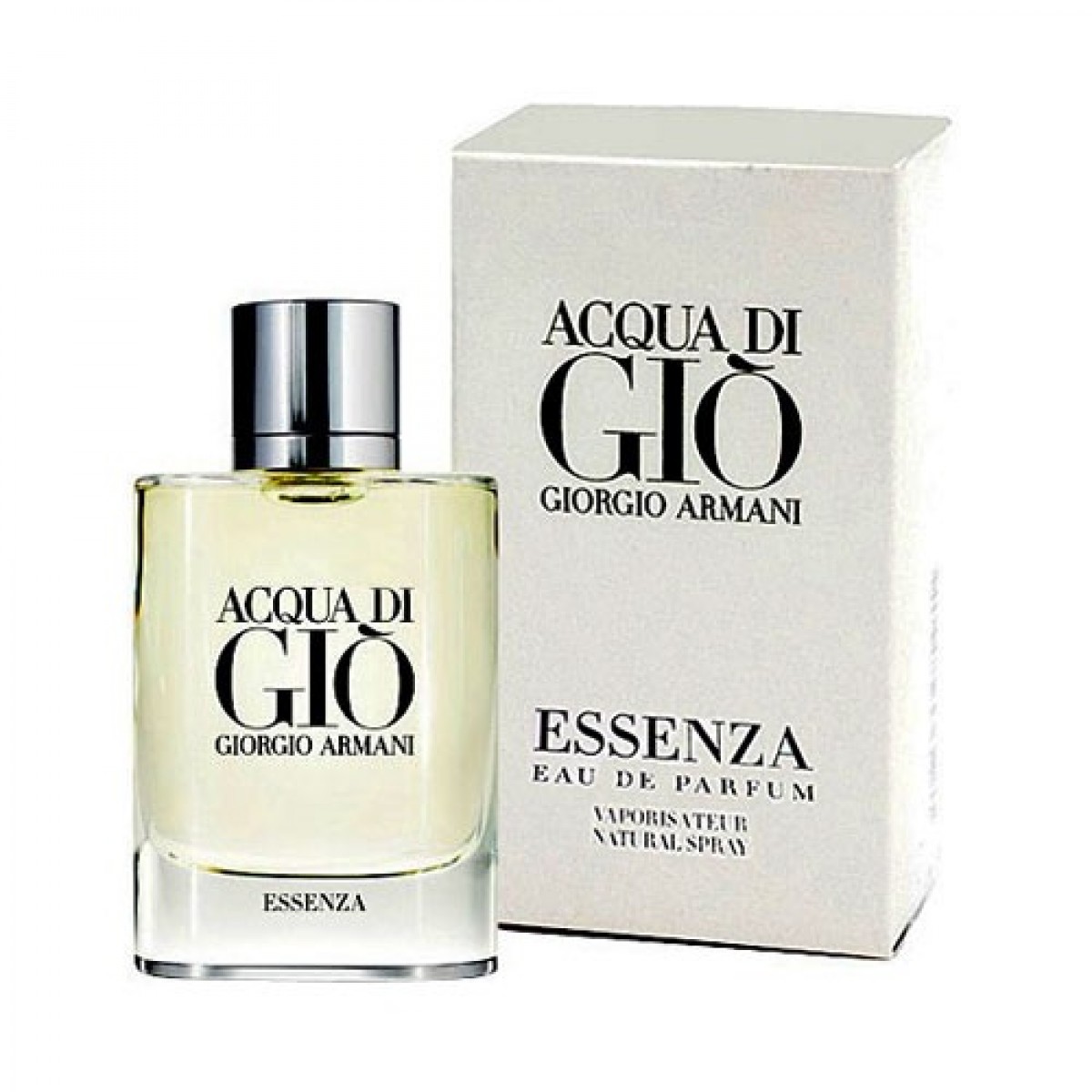 gio men's perfume