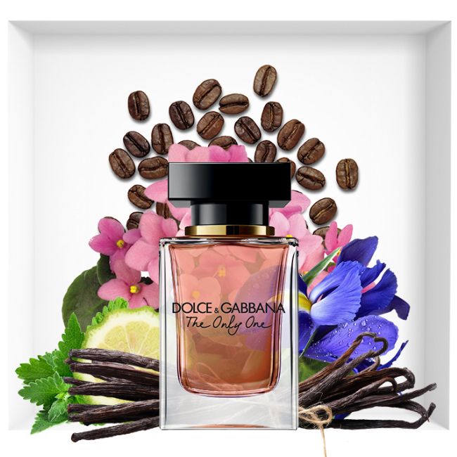 dolce and gabbana the only one women's perfume