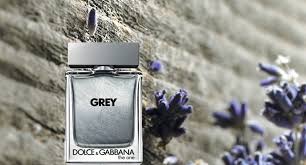 grey dolce gabbana 100ml