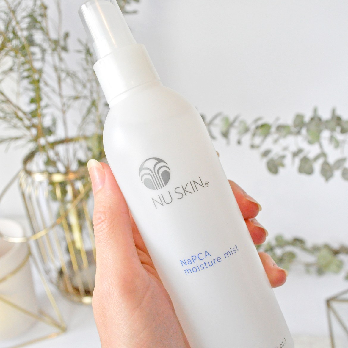Buy NU SKIN NaPCA Moisture Mist 250ml | eRomman