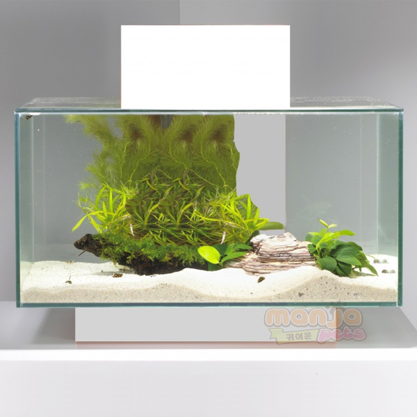 fluval edge white