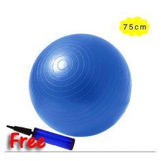 Kids 750mm Gym Ball with Pump (Blue)