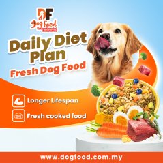 DF Dog food Daily Diet - Beef (1 x 150g)