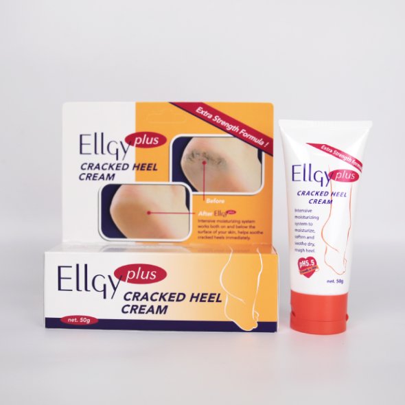 Ellgy shop