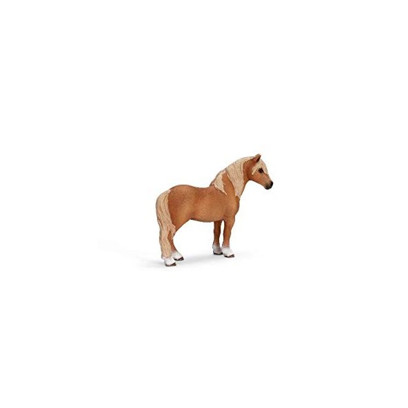 Schleich dartmoor pony stallion 2025