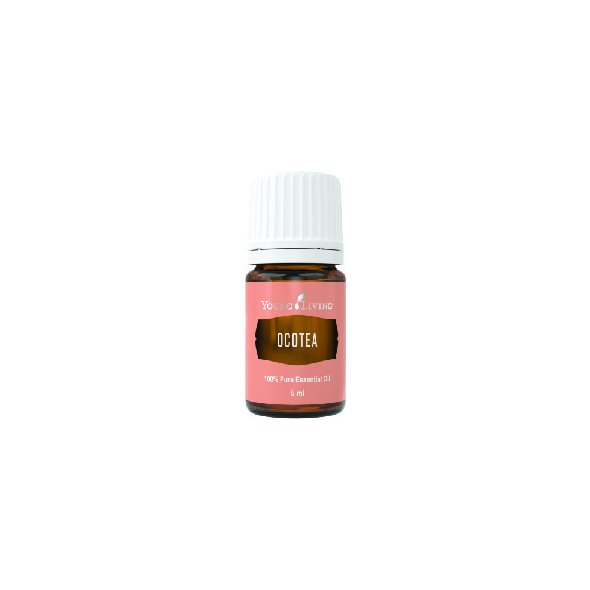 Ocotea young living shop