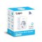 TP-Link Tapo P100 Mini Smart WiFi Socket