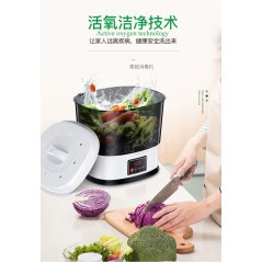 GTE 10L Household Fruit And Vegetable Big Capacity Disinfection Machine