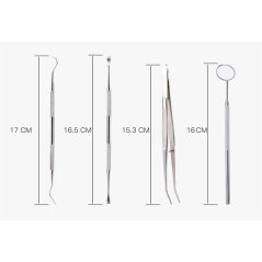 Gdeal 6pcs Professional Handle Stainless Steel Medical Dentist Teeth Explorer Needle Cleaning Dental Tool Kit Set