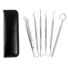 Gdeal 6pcs Professional Handle Stainless Steel Medical Dentist Teeth Explorer Needle Cleaning Dental Tool Kit Set